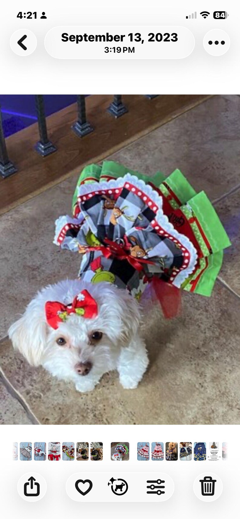 May include: A small white dog wearing a red bow on its head and a festive dress featuring a black and white buffalo plaid pattern with green and red accents. The dress has a ruffled skirt with white lace trim and a red ribbon tied at the waist.
