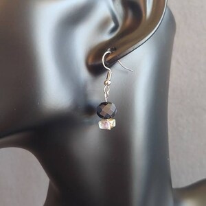 Faceted sparkly earrings