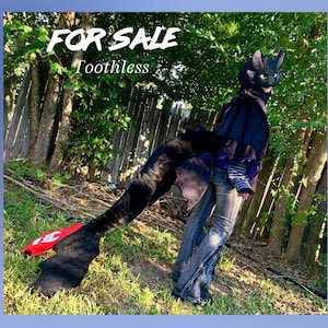 Toothless Dragon Cosplay!