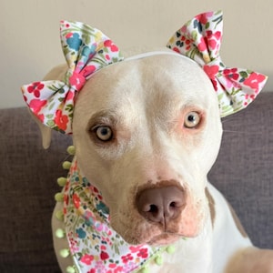 Tiara de laço floral colorida para cachorro | Laços duplos em tiara ou presilhas