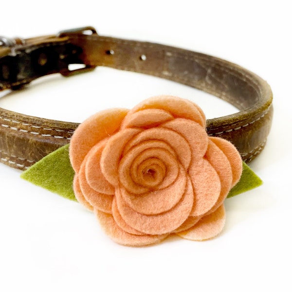 Dog Collar Flower, Peach Felt Flower Collar Accessory, Wedding Dog Floral Accessory, Girl Dog Flower for Collar
