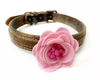 Dog Collar Flower, Pink Floral Dog Collar, Dog Collar Flower Attachment