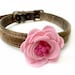 see more listings in the Flower Collar Accessory  section