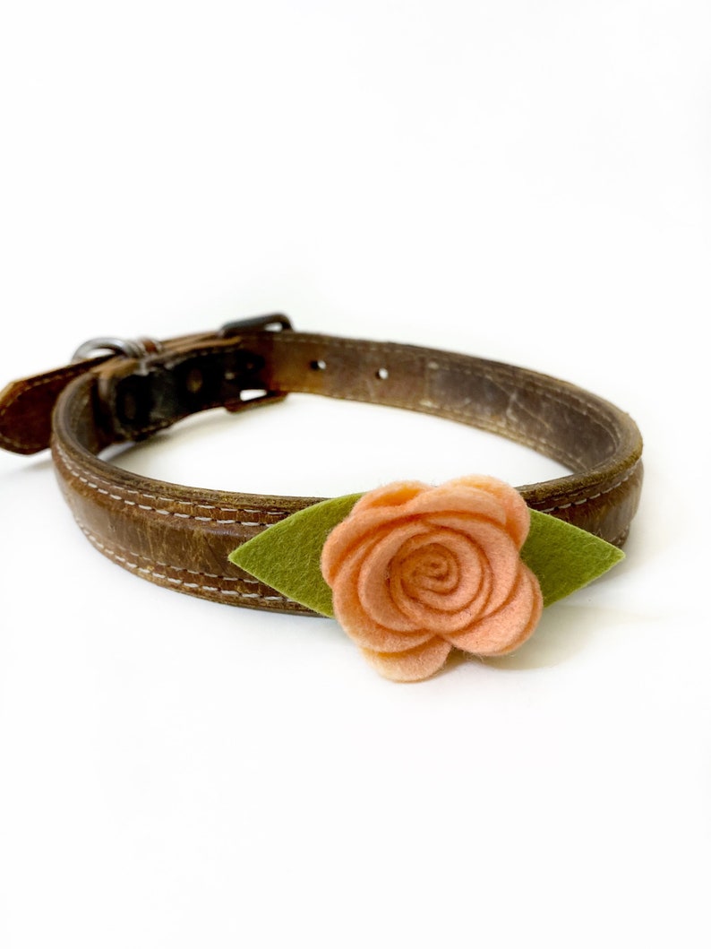 Dog Collar Flower, Peach Felt Flower Collar Accessory, Wedding Dog Floral Accessory, Girl Dog Flower for Collar image 4