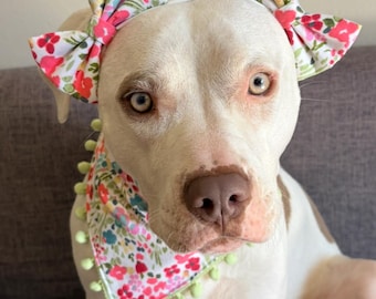 Colorful Floral Dog Bow Headband | Double Bows on Headband or Barrettes