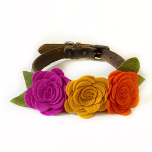 Collar de fieltro con flores florales de otoño para perros: accesorio para mascotas ideal para bodas.