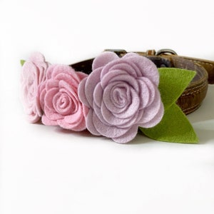 Puede incluir: Un collar de perro de cuero marr&oacute;n adornado con tres rosas de fieltro en tonos rosa y lavanda, con hojas de fieltro verde. El collar tiene una hebilla de metal.