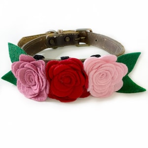 Dog Flower Collar, Roses for Collar, Floral Dog Collar, Valentines Collar Roses, Wedding Dog Collar Flowers, Floral Dog Collar Accessory