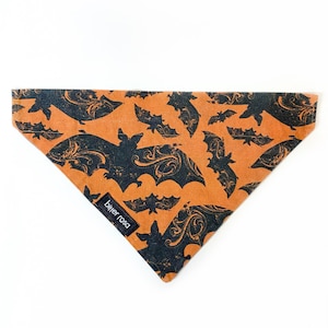 May include: Orange and black dog bandana with a bat pattern and the text "bitter rosa" on the bottom left corner.