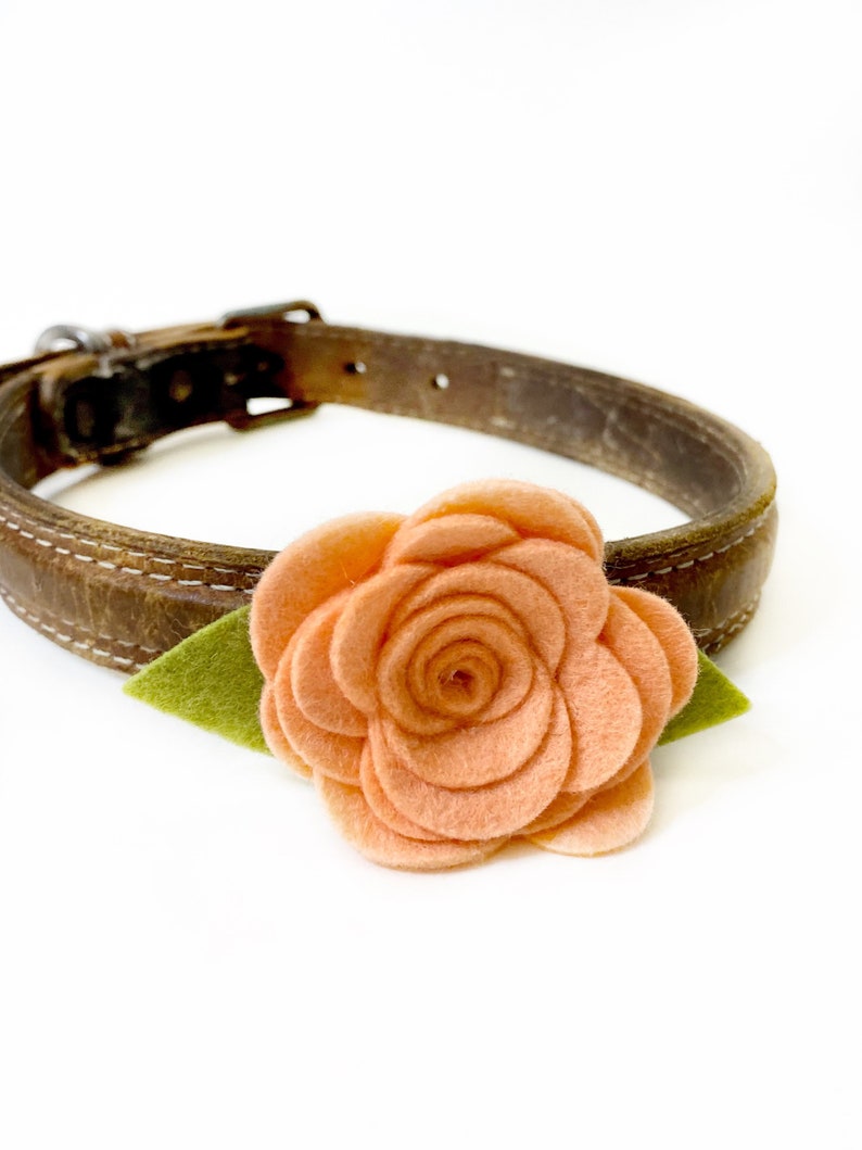 Dog Collar Flower, Peach Felt Flower Collar Accessory, Wedding Dog Floral Accessory, Girl Dog Flower for Collar image 1