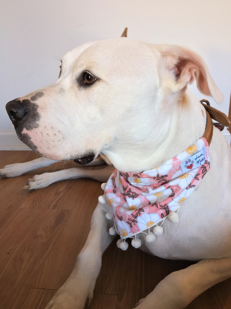 Girl Dog Bandana Floral Bandana Pom Trim Dog Bandana Pink Etsy