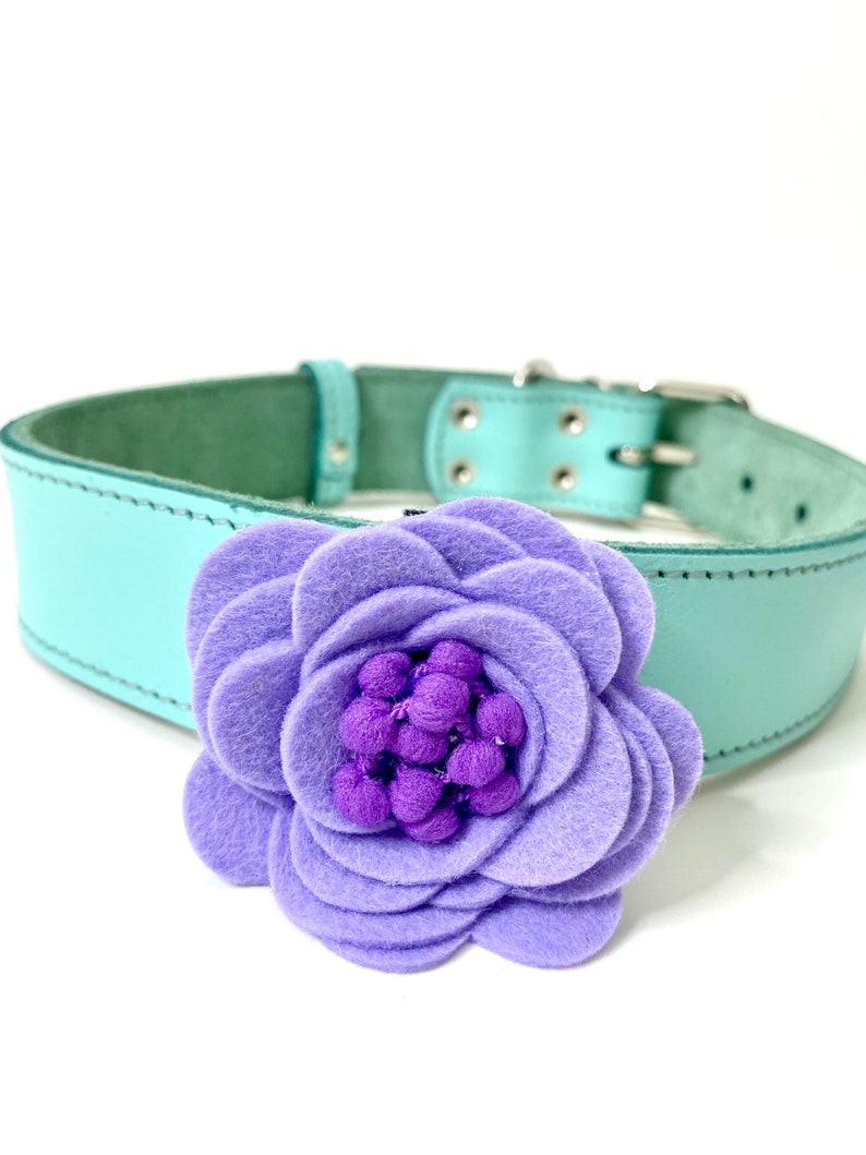 May include: A light blue leather dog collar with a silver buckle and a large, lavender felt flower. The flower has a dark purple center. The collar is a standard width and has a classic design.