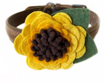 Vilten zonnebloemhalsbandaccessoire: bloem huisdierkraag