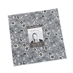Midnight Magic 2 layer cake by April Rosenthal for Moda