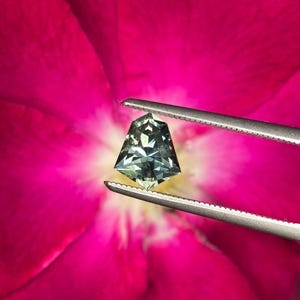 1.22ct Fancy Cut Blue Montana Sapphire Facet