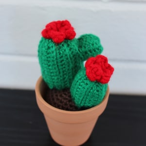 Simple Little Cactus - Crochet Pattern