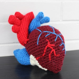 Crochet Pattern for a Human Heart