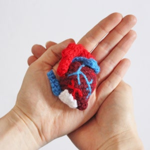 Peut inclure: Un cœur anatomique crocheté en fil rouge, bleu et blanc. Le cœur est tenu dans la main d'une personne.