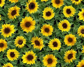 Leafy Sunflowers by Timeless Treasures Fabrics // 100% cotton // Quilting Fabric // Floral Fabric