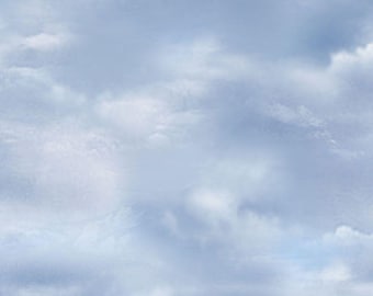 Misty Mountain Clouds by Timeless Treasures Fabric // Quilting Cotton // Cotton Woven // 100% cotton // Sky Fabric