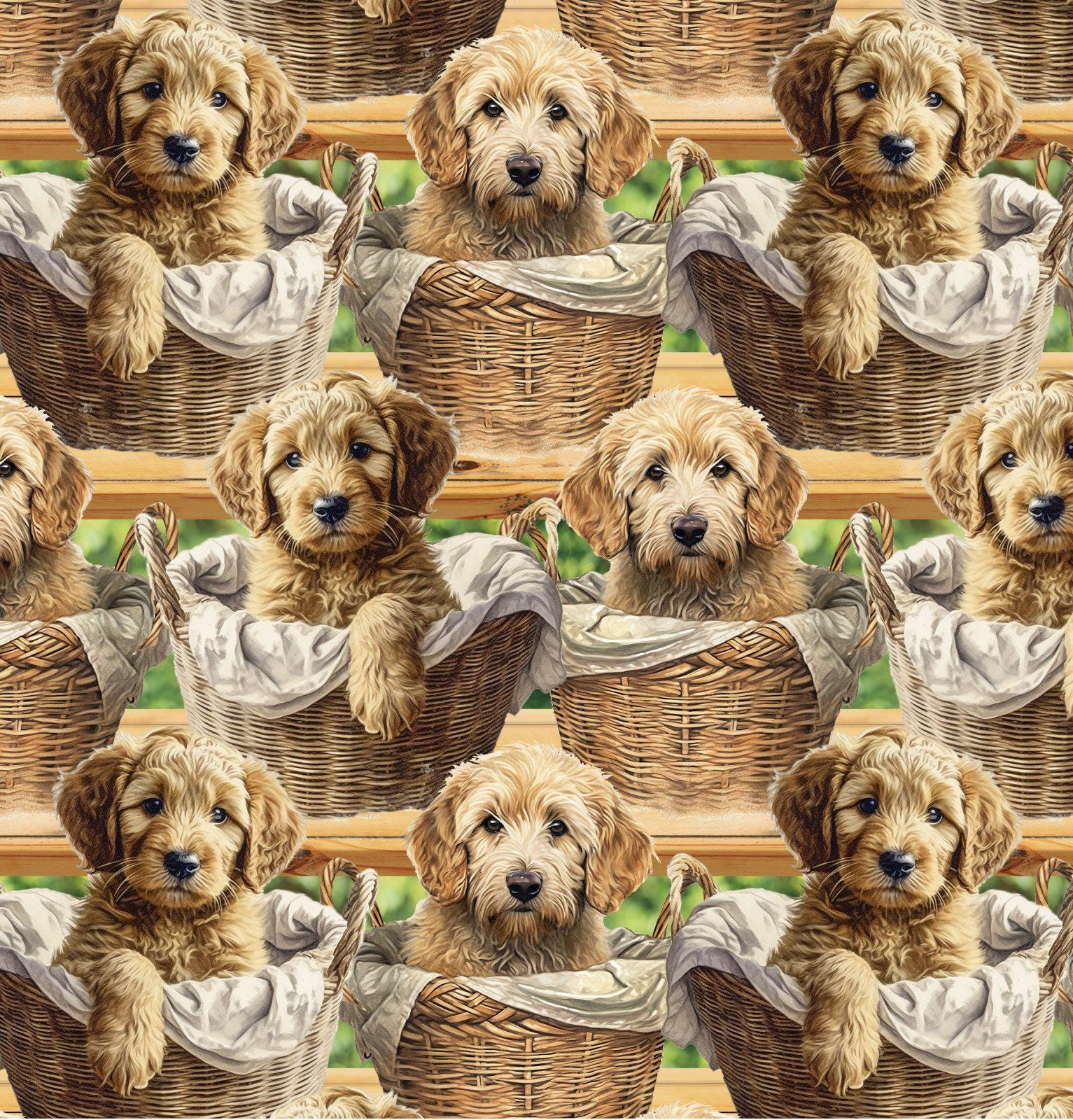 Baby Goldendoodles by David's Textiles // Quilting Cotton // Cotton Woven // 100% cotton // Doodle Dog Fabric