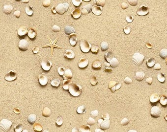 Cockle Shells by Elizabeth's Studio Fabric // Quilting Cotton // Cotton Woven // 100% cotton // Beach Fabric // Seashell Fabric