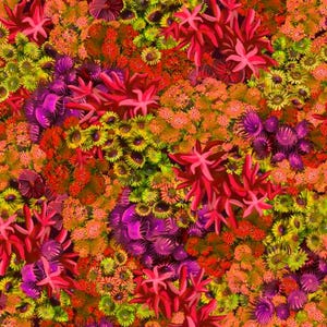 Treasures at Sea Coral Blue by QT Fabrics // Quilting Fabric // 100% Cotton // Ocean Fabric // Coral Reef Fabric