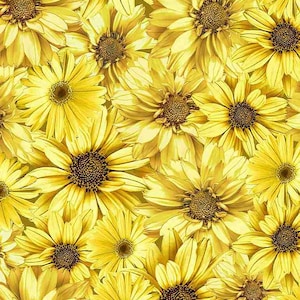 Packed Sunflowers by Timeless Treasures Fabrics // 100% cotton // Quilting Fabric // Floral Fabric