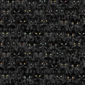 Wicked Black Cats Magic by Timeless Treasures // Quilting Fabric // 100% Cotton // Halloween Fabric // Cat Fabric