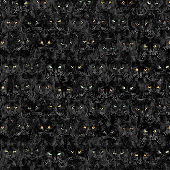 Wicked Black Cats Magic by Timeless Treasures // Quilting Fabric