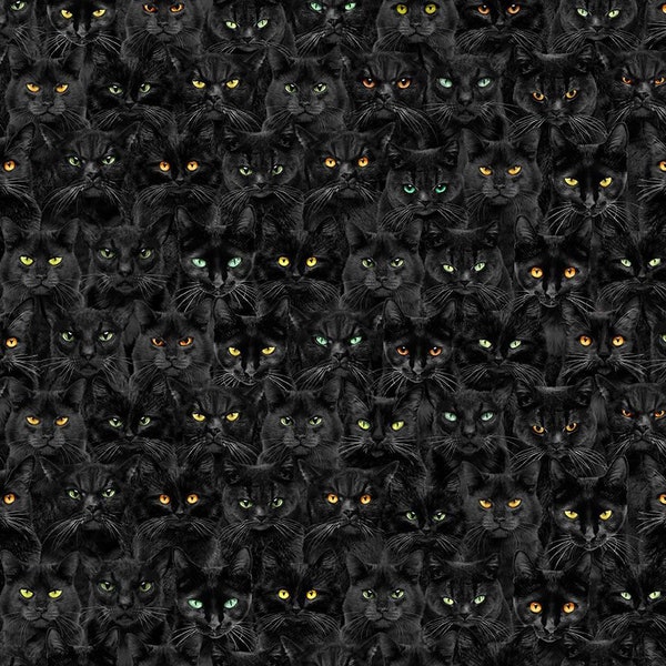 Wicked Black Cats Magic by Timeless Treasures // Quilting Fabric // 100% Cotton // Halloween Fabric // Cat Fabric