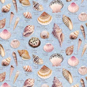 May include: A light blue background with a pattern of various seashells in shades of brown, beige, and pink. The image includes different types of shells, such as scallops, conchs, and whelks, with labels like "Queen Scallop" and "Baby Drop Scallop".
