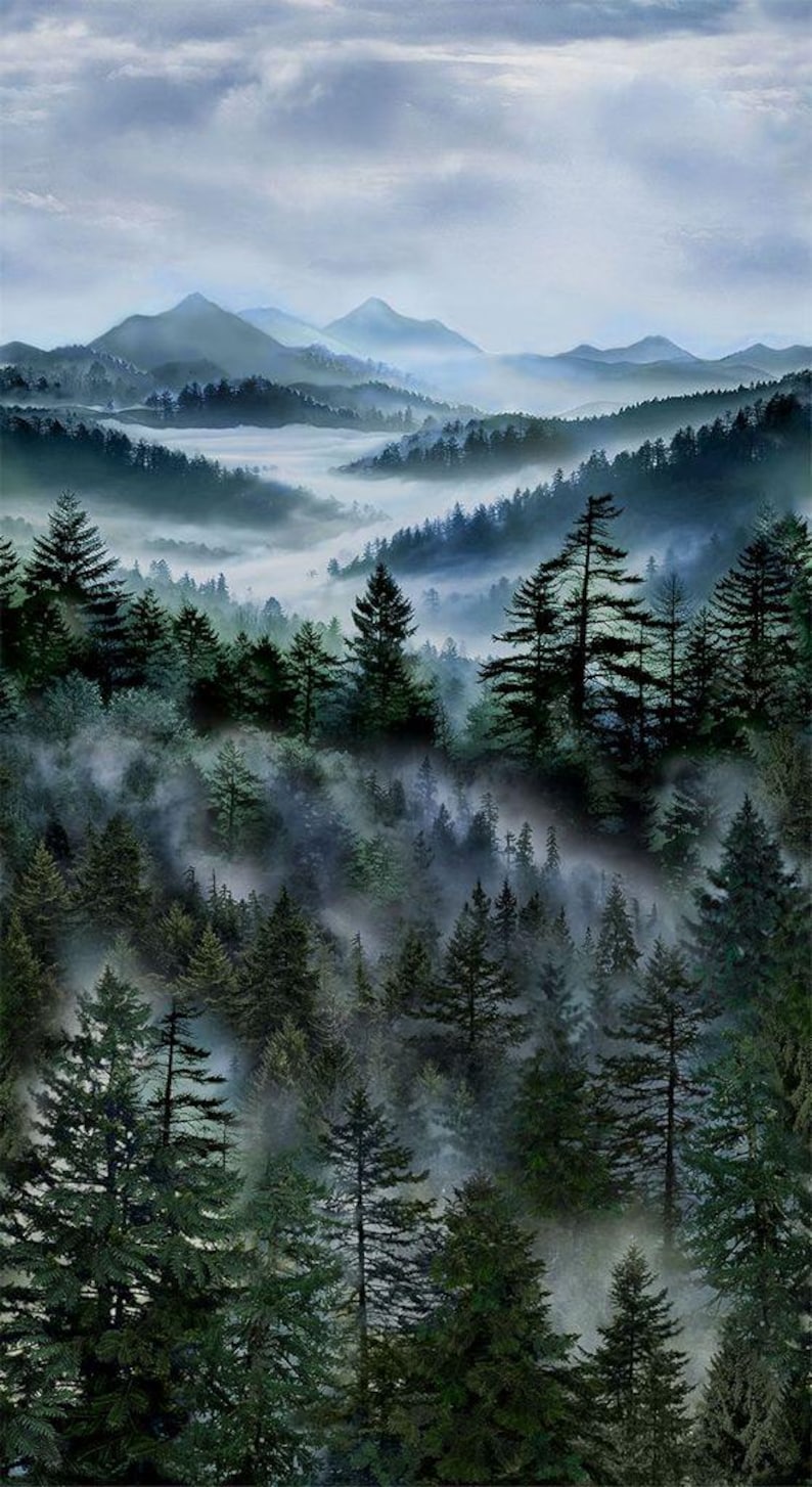 May include: A scenic landscape painting of a misty forest with tall evergreen trees. The artwork depicts a mountain range in the background, shrouded in fog, with a palette of greens, blues, and grays.