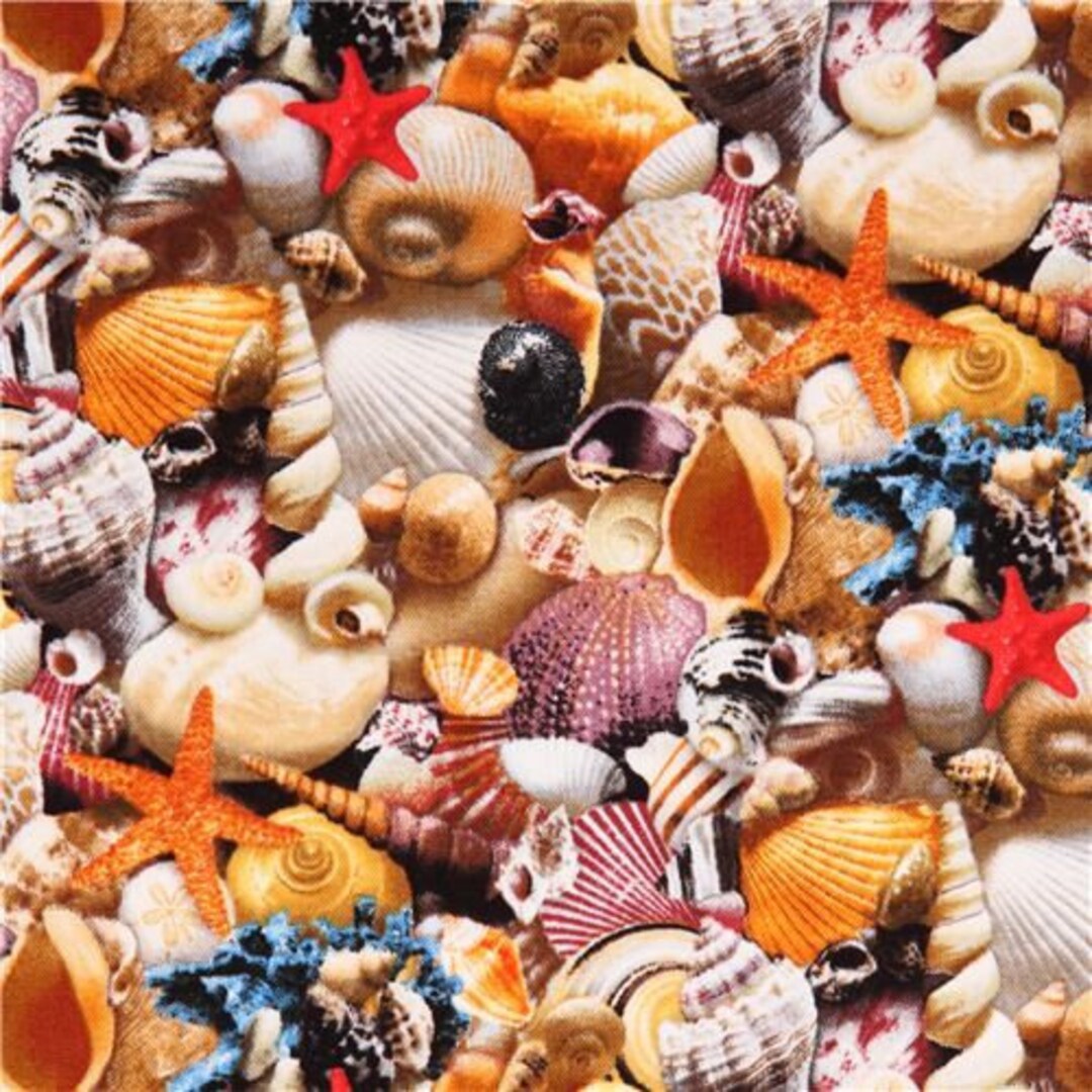 Packed Seashells by Elizabeth's Studio Fabric // Quilting Cotton ...