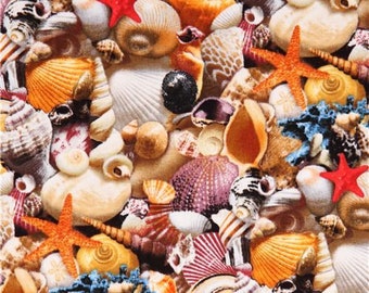 Packed Seashells by Elizabeth's Studio Fabric // Quilting Cotton // Cotton Woven // 100% cotton // Beach Fabric // Seashell Fabric