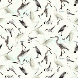 Seashell Wishes - Seabirds Cream by Clothworks Fabric // Quilting Cotton // Cotton Woven // 100% cotton // Waterbird Fabric