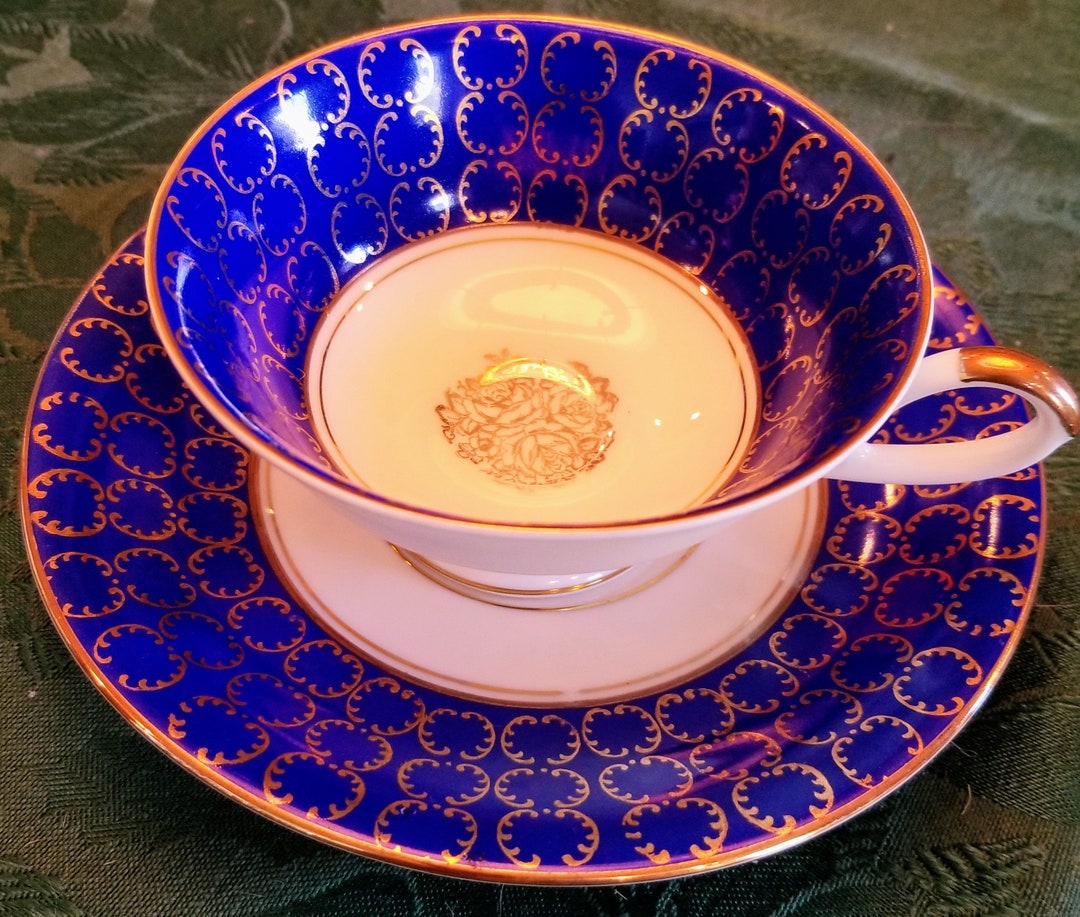 Beautiful Vintage Bavaria Tea Cup and Saucer. Etsy