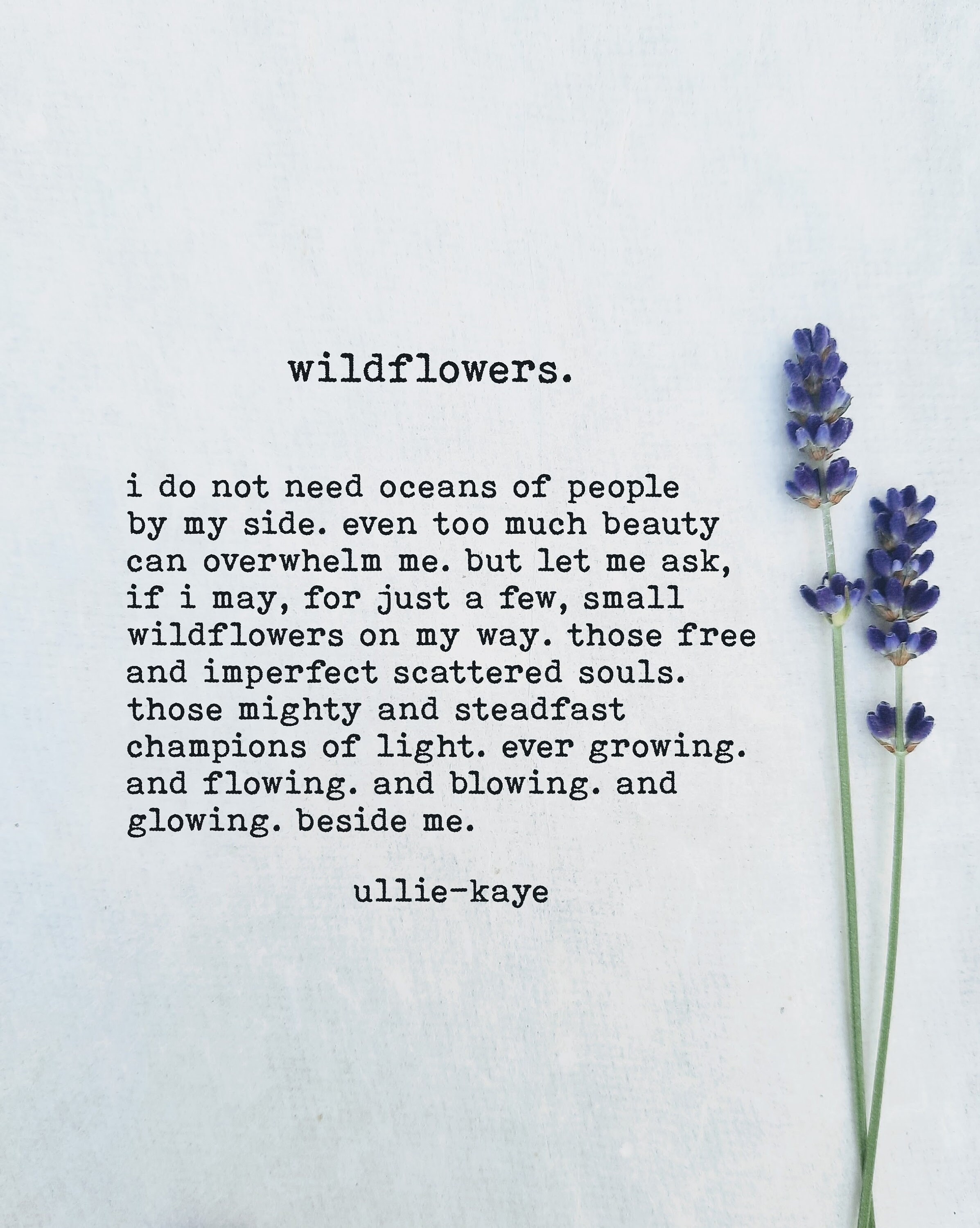 Wildflowers 5 X 7 Poetry Card Etsy