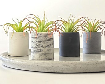 Air Plant Holder Set of 4 - Mini Planter - Modern - Small Succulent Planter - Concrete Planter - Cement Planter - Concrete Gift