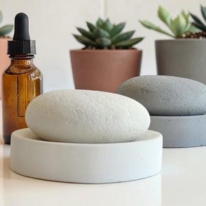 May include: A brown glass dropper bottle with a black dropper top sits next to a white stone on a white concrete dish. A gray stone rests on a gray concrete dish. Succulents are in terracotta and gray pots in the background.
