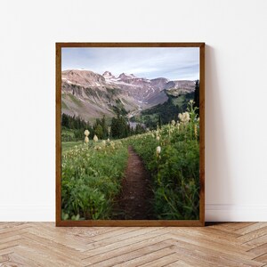 Mt Rainier Wonderland Trail Photography Print