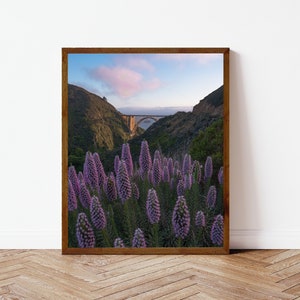 Bixby Bridge Wildflower Photography Print