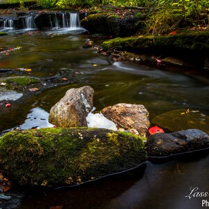 May include: A close-up of a small stream flowing over moss-covered rocks. The water is clear and flowing quickly, creating a sense of movement. The rocks are a variety of sizes and shapes, and they are covered in a thick layer of green moss.