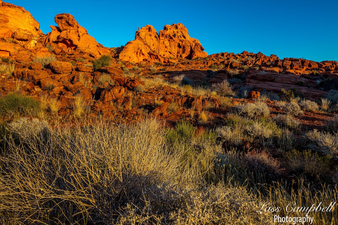 Sunrise, Valley of Fire State Park, Nevada, Las Vegas, Desert Etsy