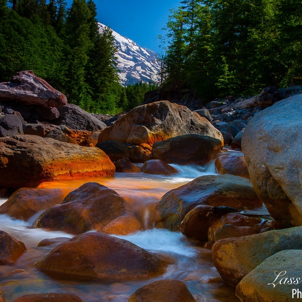 Kautz Creek, Mount Rainier, Pacific Northwest, Washington