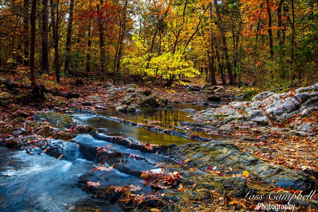 Beaver Creek Cascade, Oklahoma, Fall Foliage, River, Beavers Bend State