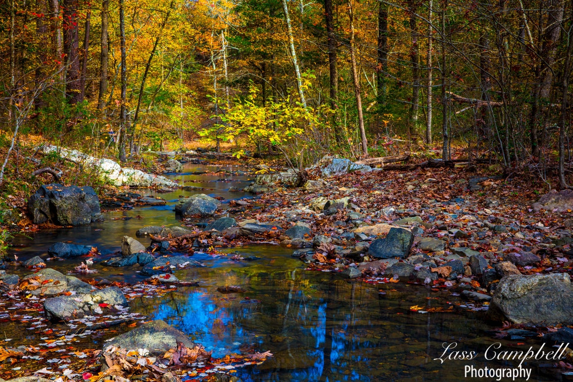 Beaver Creek, Oklahoma, Fall Foliage, River, Beavers Bend State Park