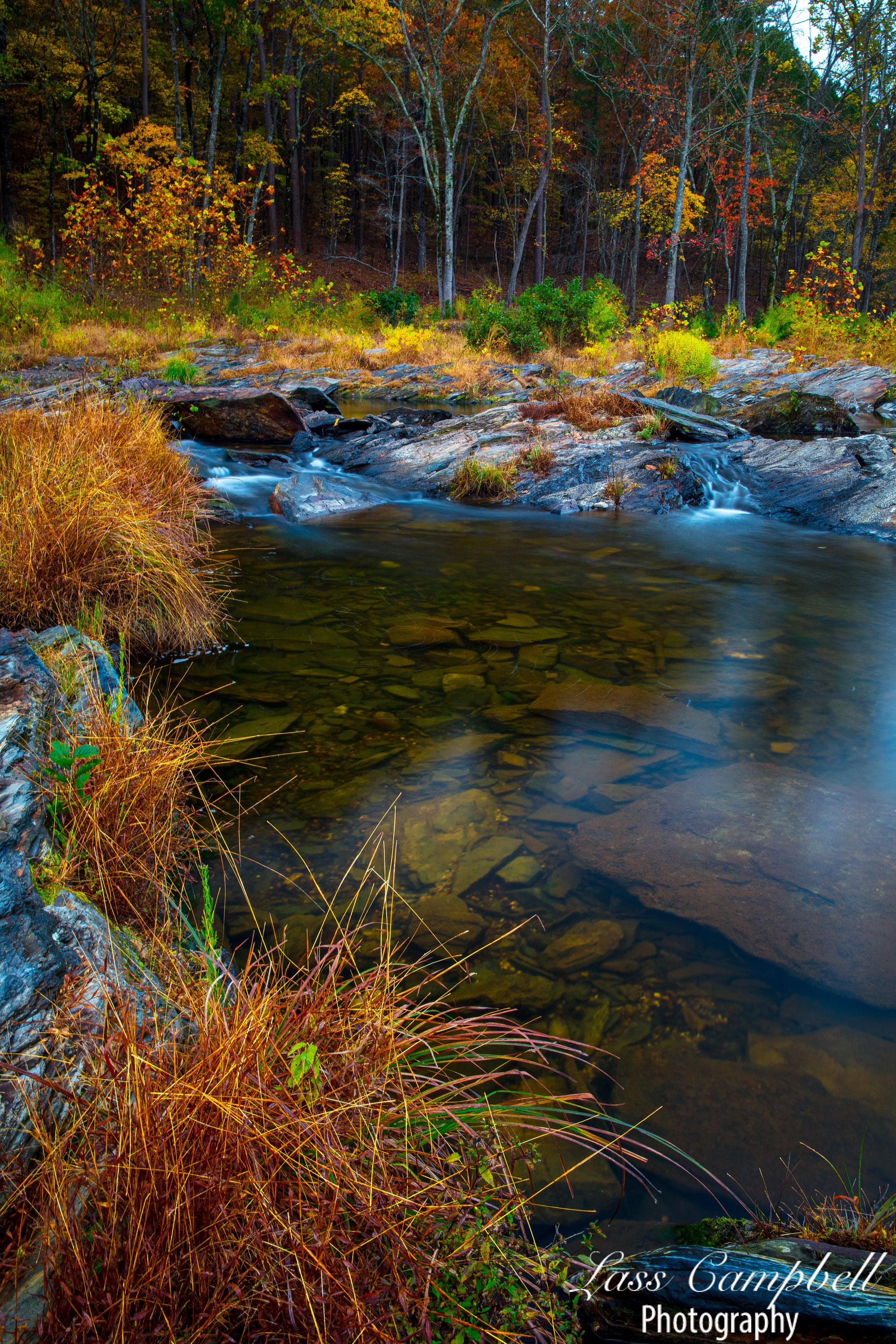 Spillway Fall Foliage Beavers Bend State Park Broken Bow - Etsy