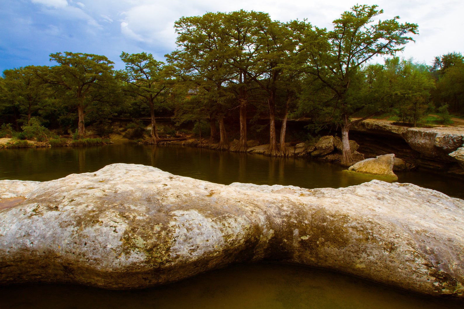 Limestone Ledge, Cypress Trees, Onion Creek, Upper Falls, Mckinney