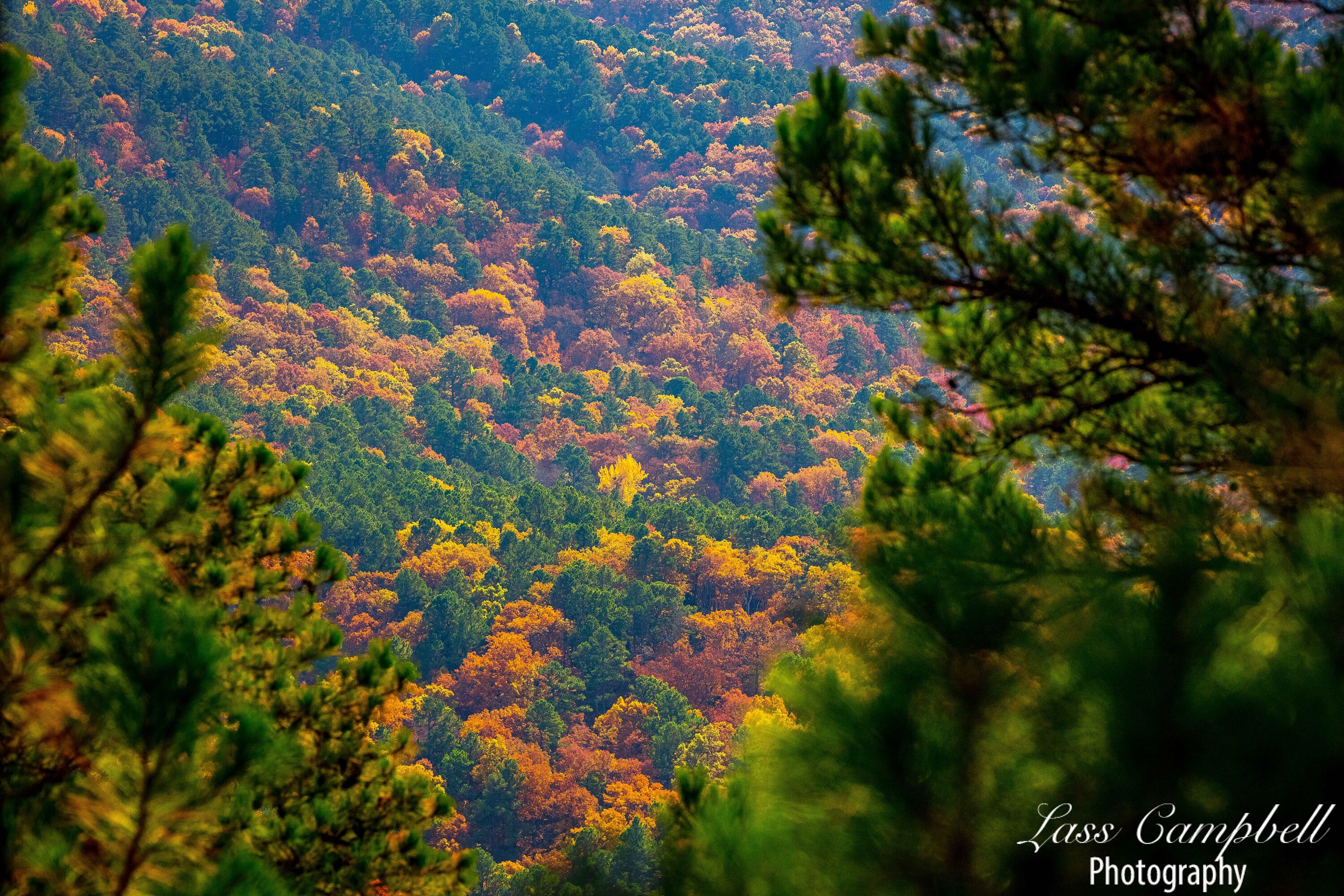 Talimena Scenic Byway, Oklahoma, Fall Foliage, Ouachita National Forest